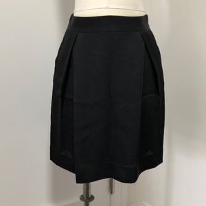 Banana Republic Petite Satin Pleated Skirt. 2P